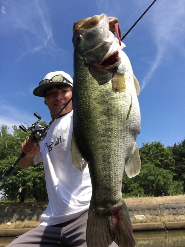 o1108147814293250128