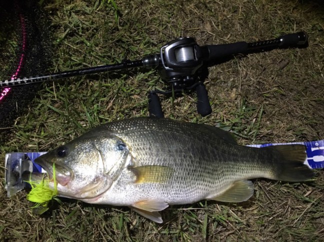 o1478110814293248960