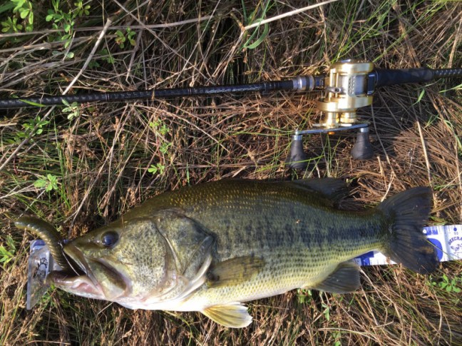 o1478110814293257515