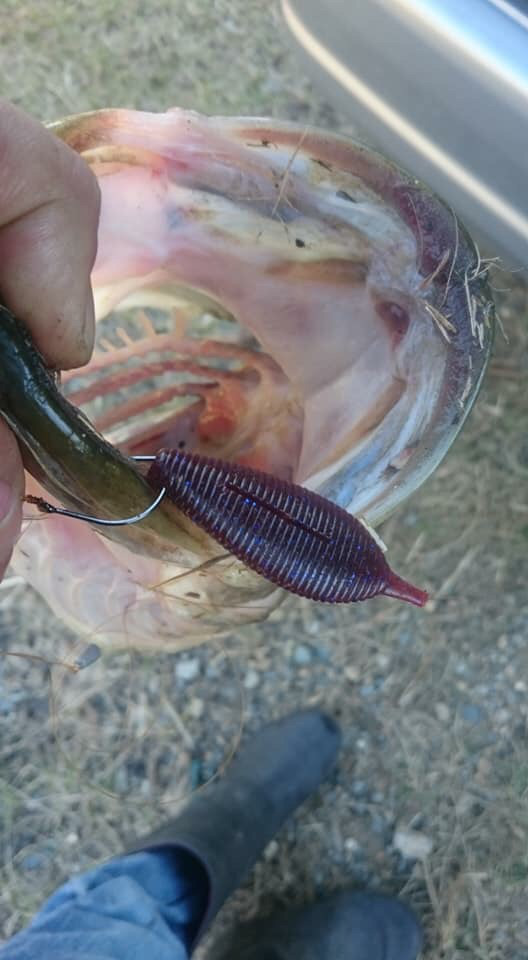 o0528096014312631352