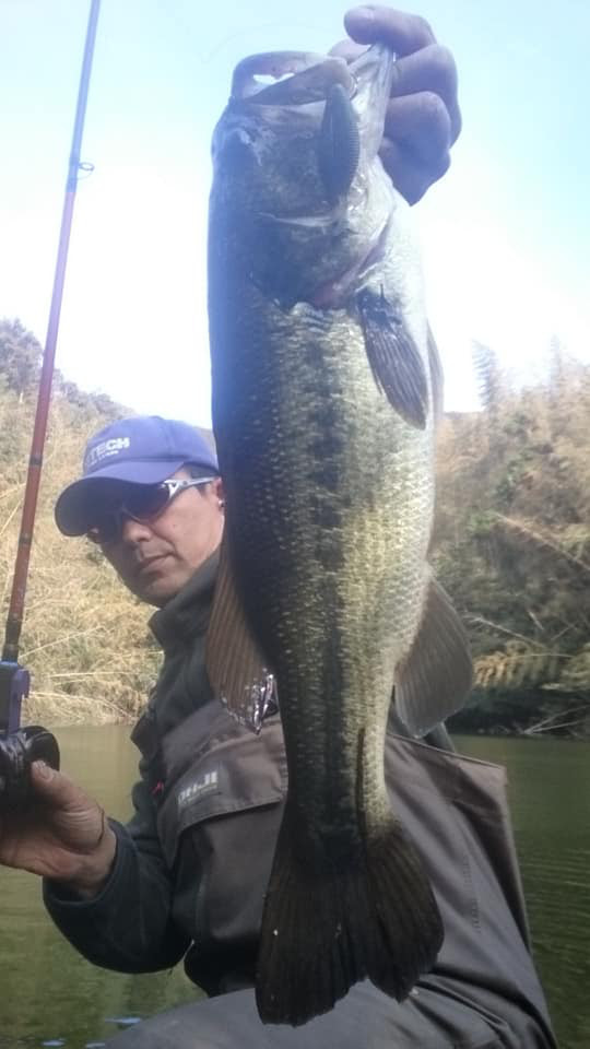 o0540096014309586075