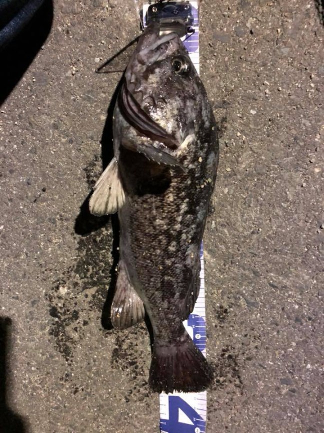 o0720096014309587815