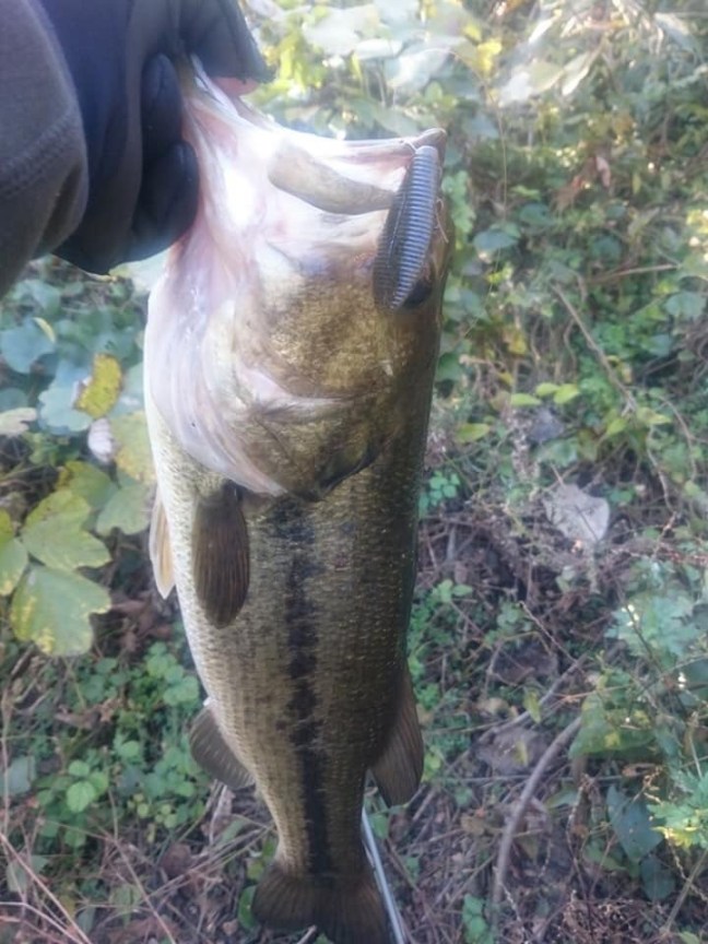 o0720096014312631332