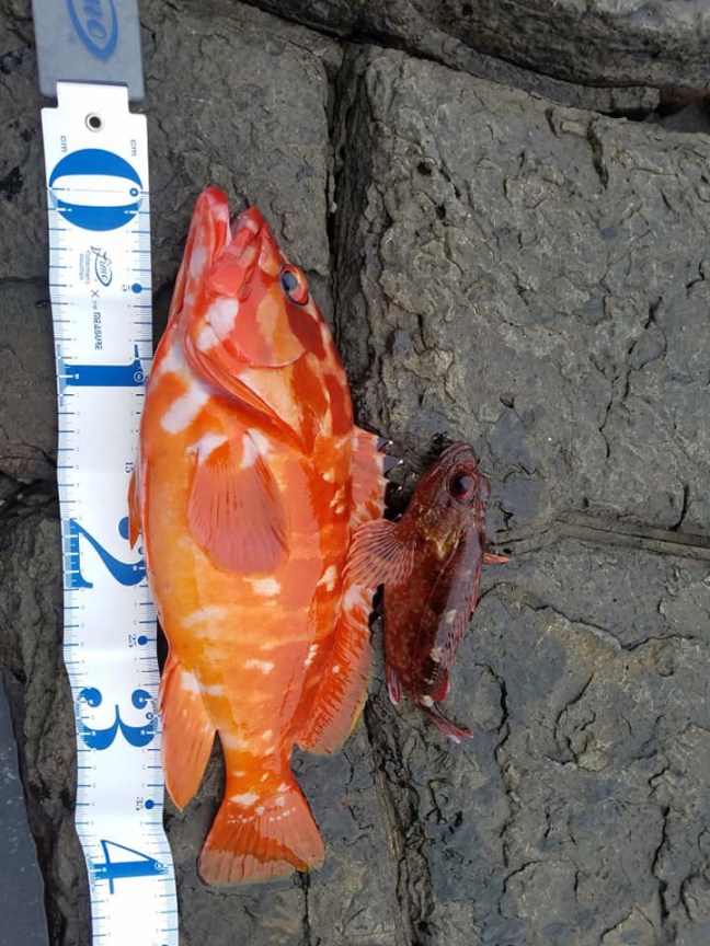 o0720096014312659467