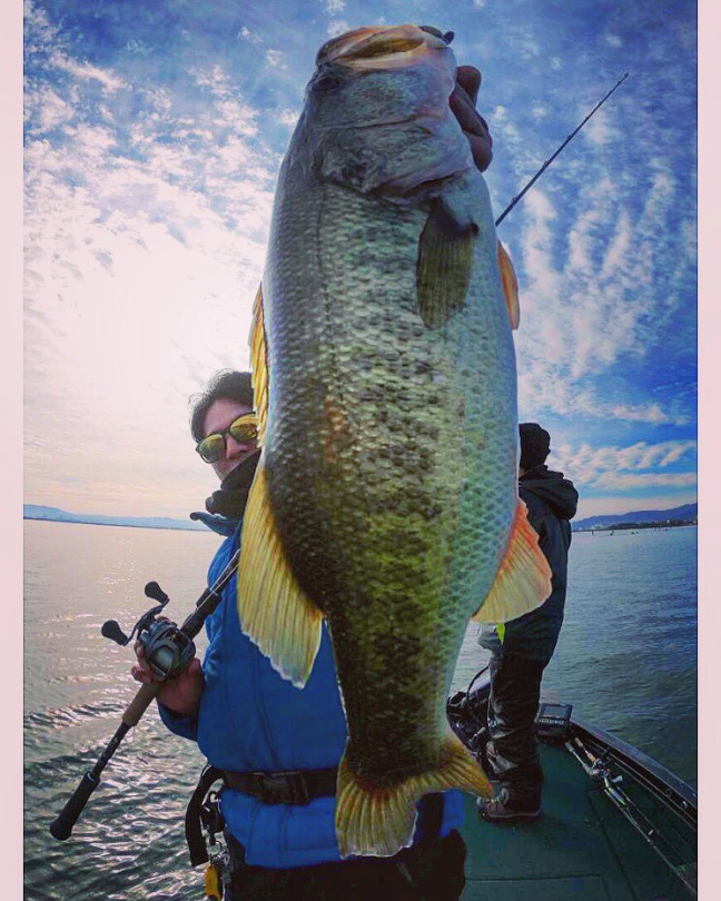 o0744093014326906712