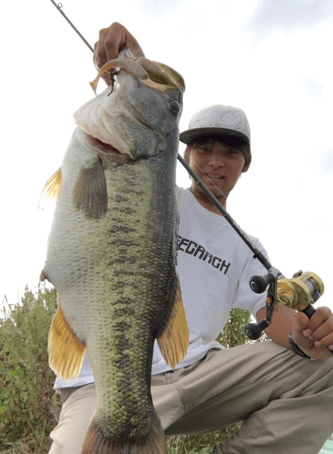 o0750102414309558996