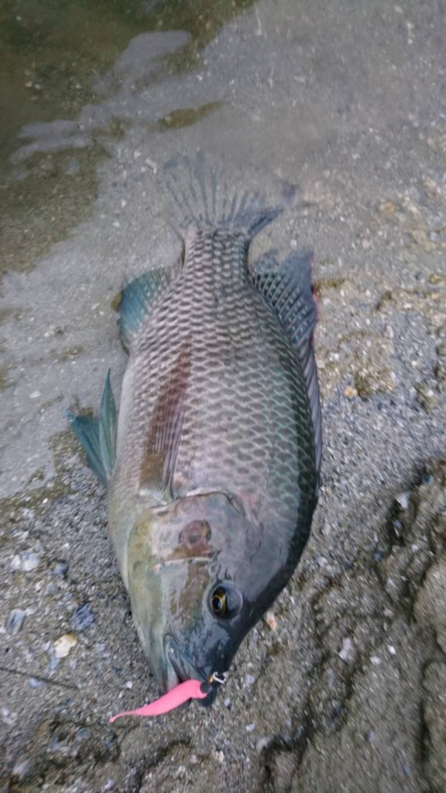 o0771137014326905427