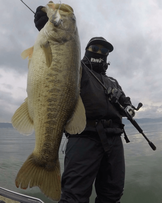 o0863108014325251698