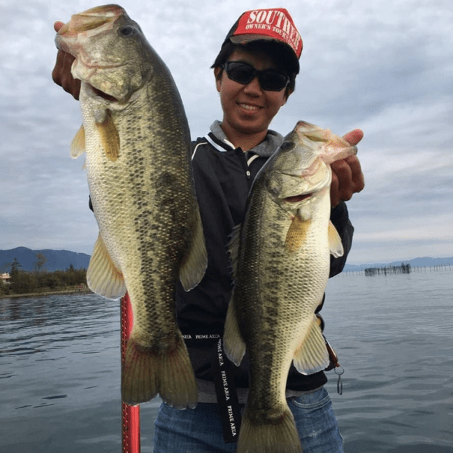 o0890089014312626301