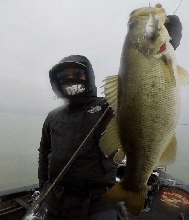 o0928108014325251717