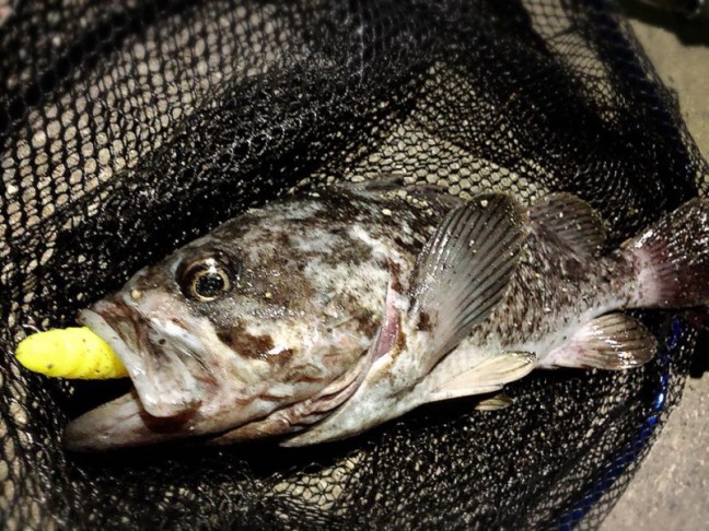 o0960072014309587808