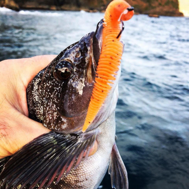 o0960096014312624313