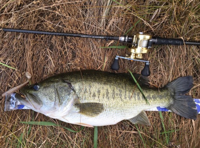 o1024076014309559008