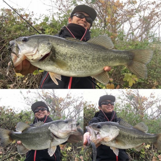 o1080108014319633482