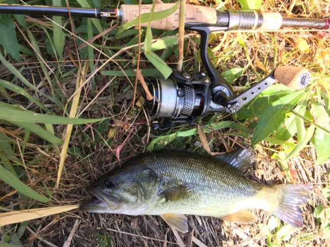 o1654099014309554944