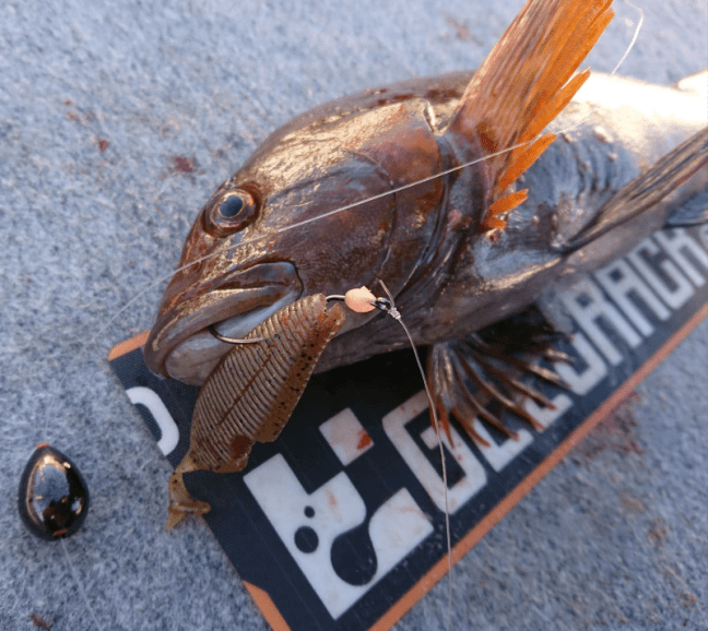 o2166193514312669480