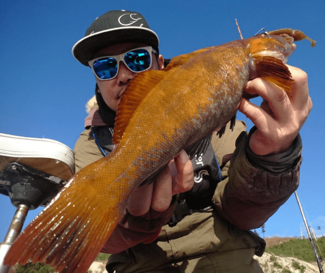 o2229188014312669482