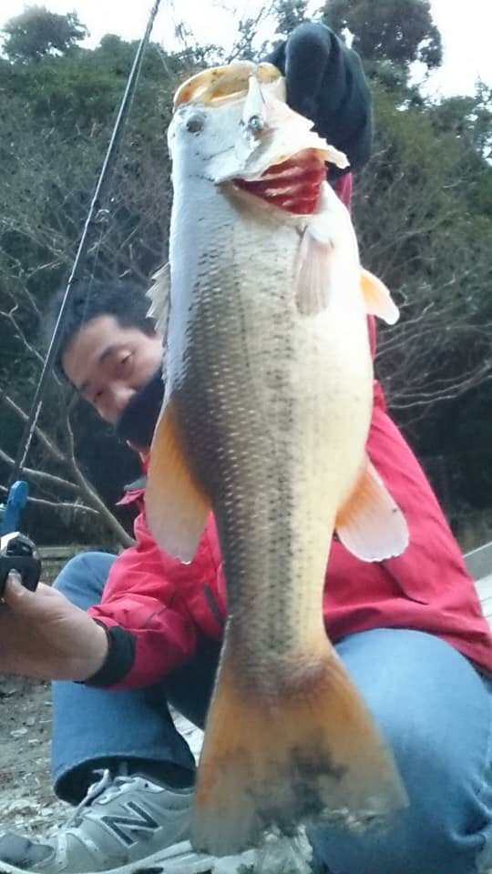 o0540096014338175052