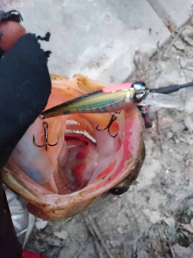 o0720096014338175030