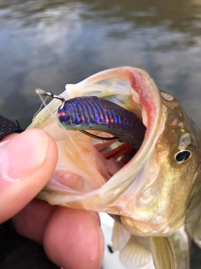 o0720096014343799154