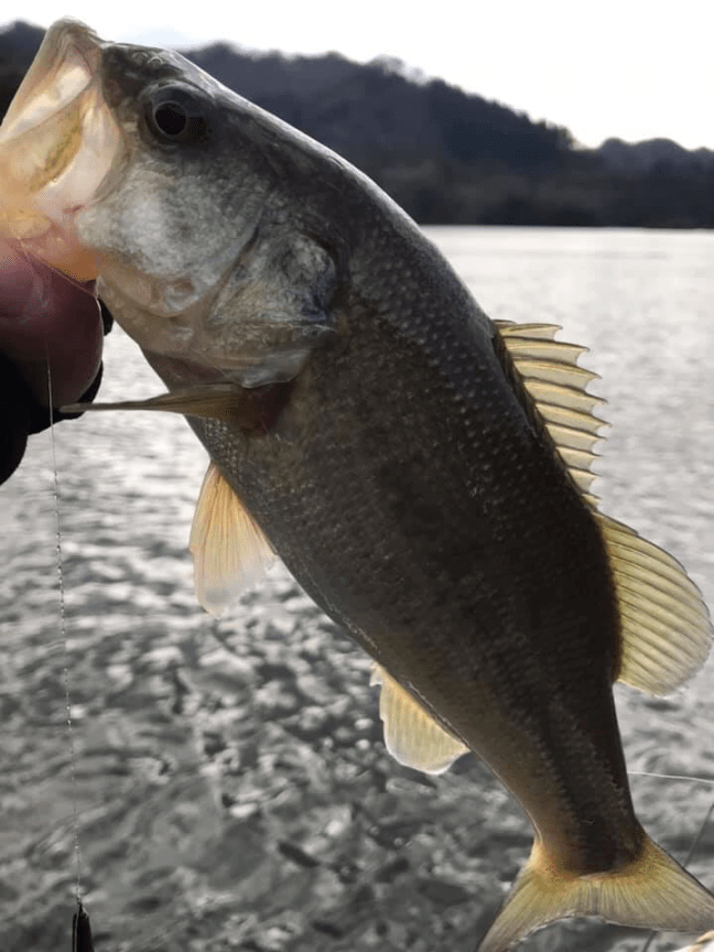 o0720096014343799155