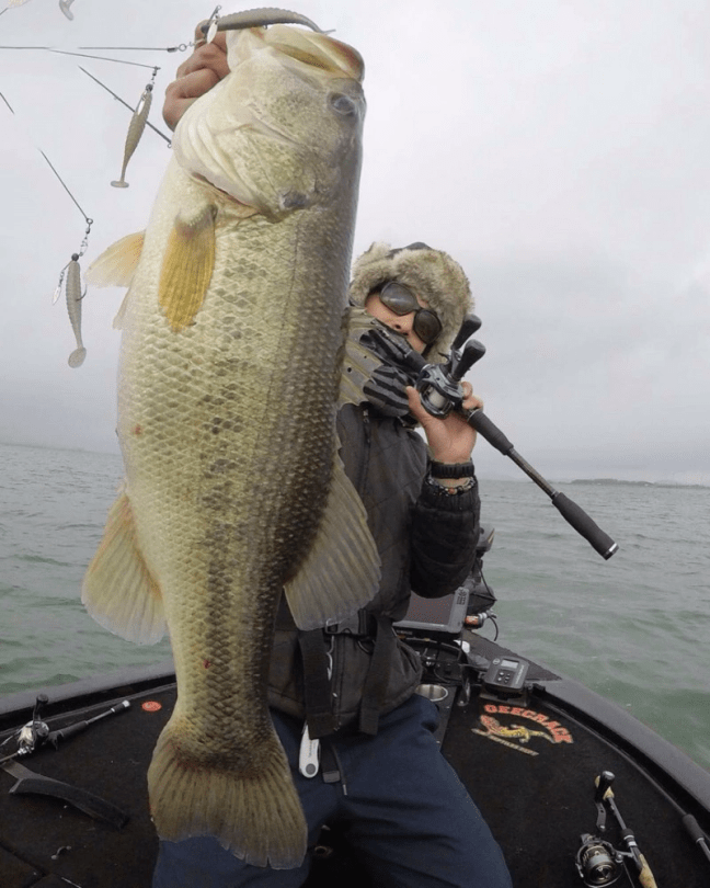 o0863108014334496774