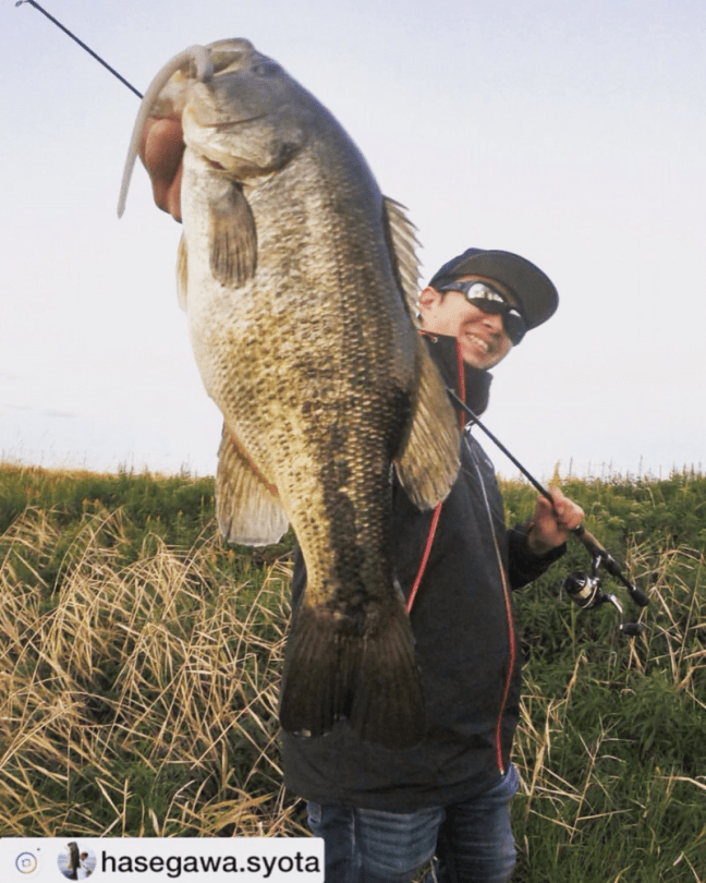 o0863108014338613670