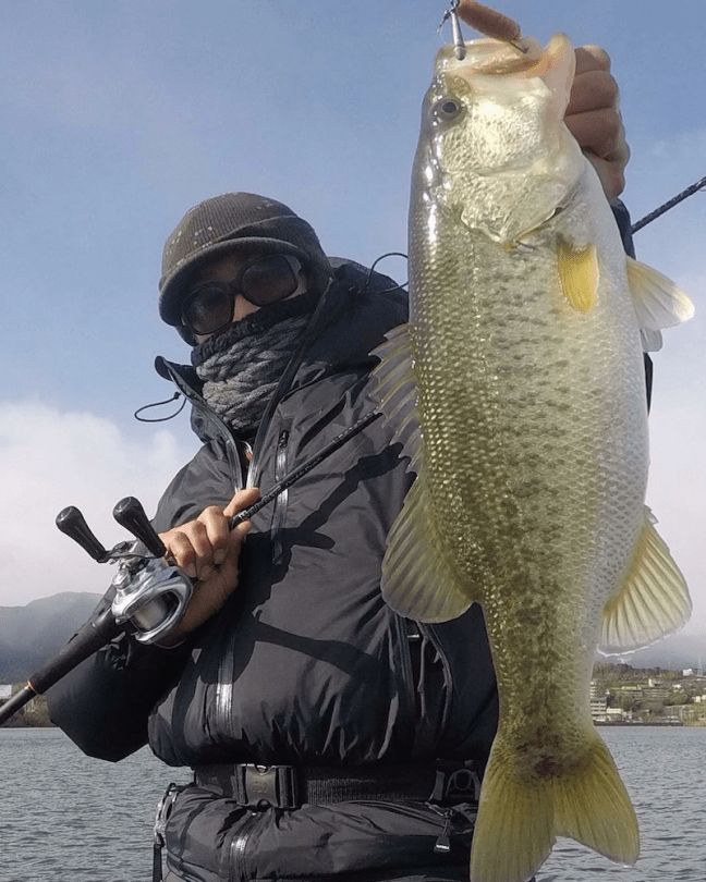 o0864108014329886414