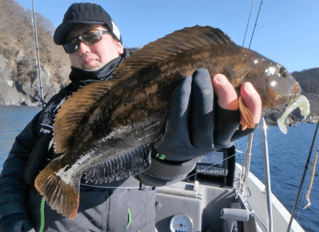 o0960069814326925716