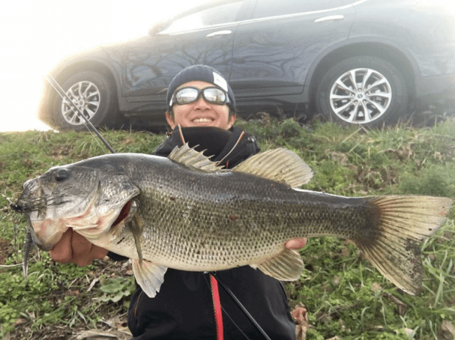 o1080080914331844823