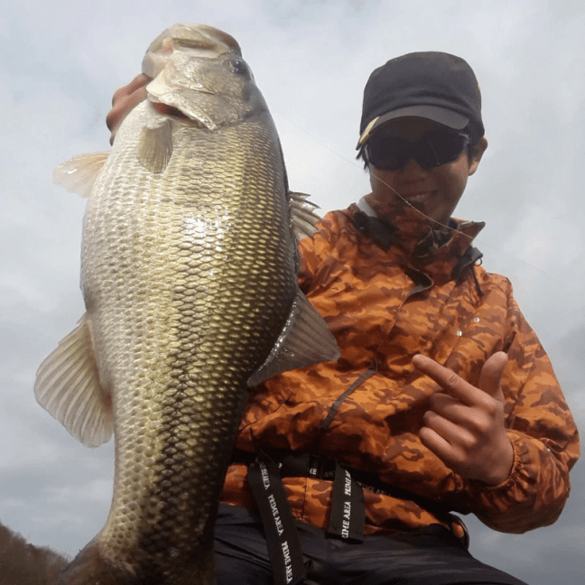 o1080108014337489771