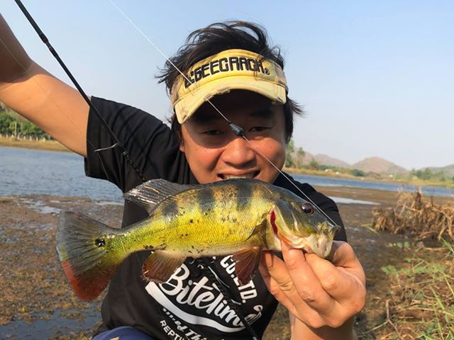 51952966_300147584000592_333326016636256256_n