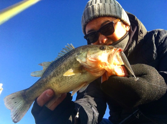 o0750055814351444069