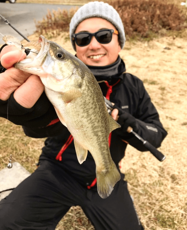 o0750092714355526241