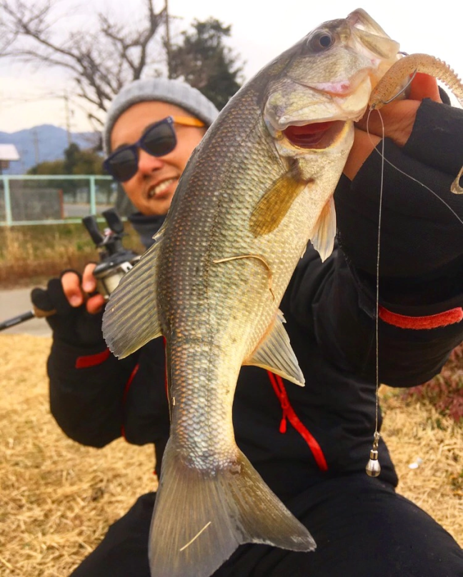 o0750093614355526239