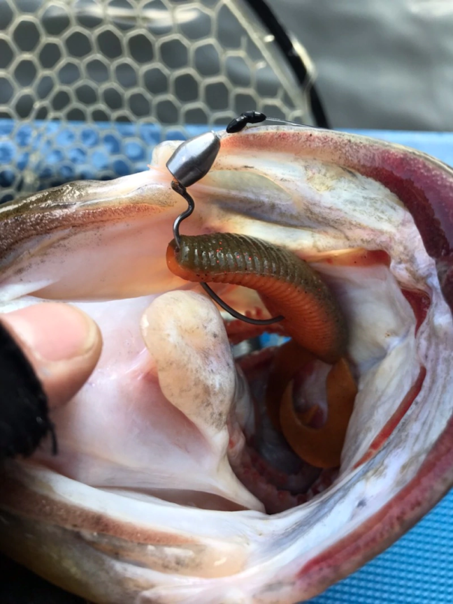 o0809108014359519601