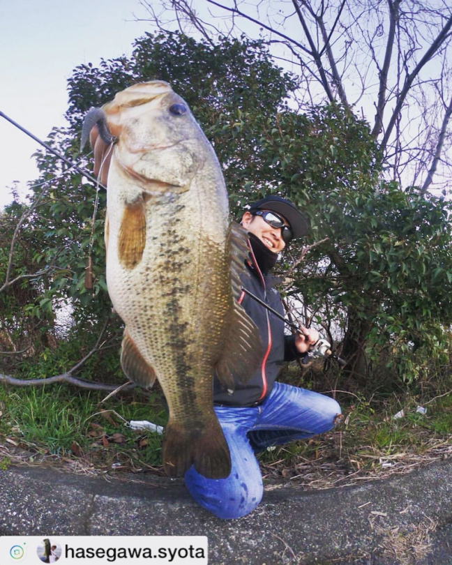 o0863108014360941845