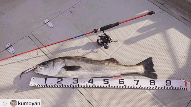 o1080060714362112269