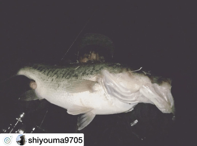 o1080080314363219764