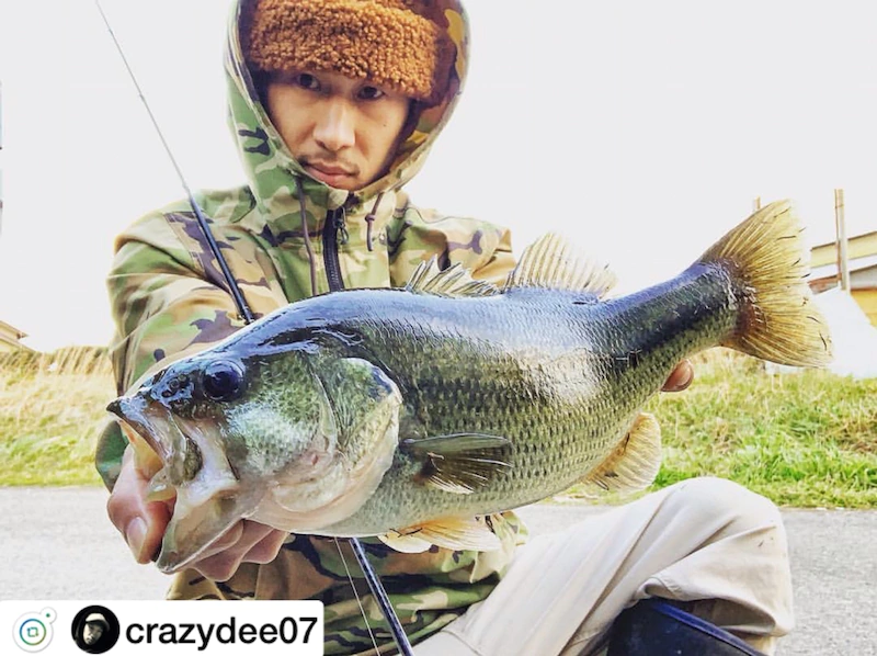 o1080080714361522567