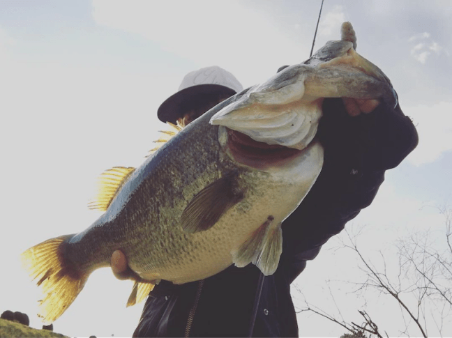 o1080080914351446963