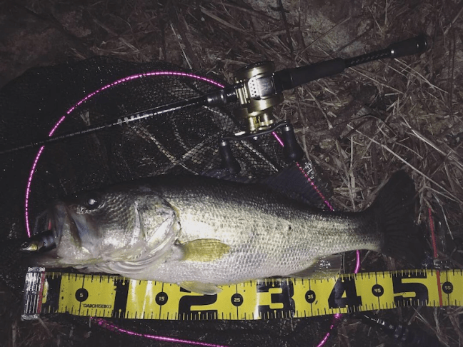 o1080081014360011712