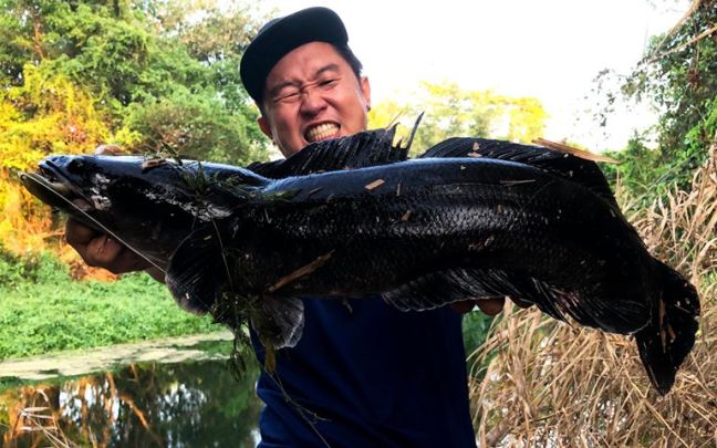 55465099_1274079756078452_7023305593876119552_n