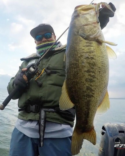 o0432054014371180177