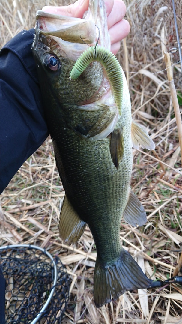 o0607108014370765232