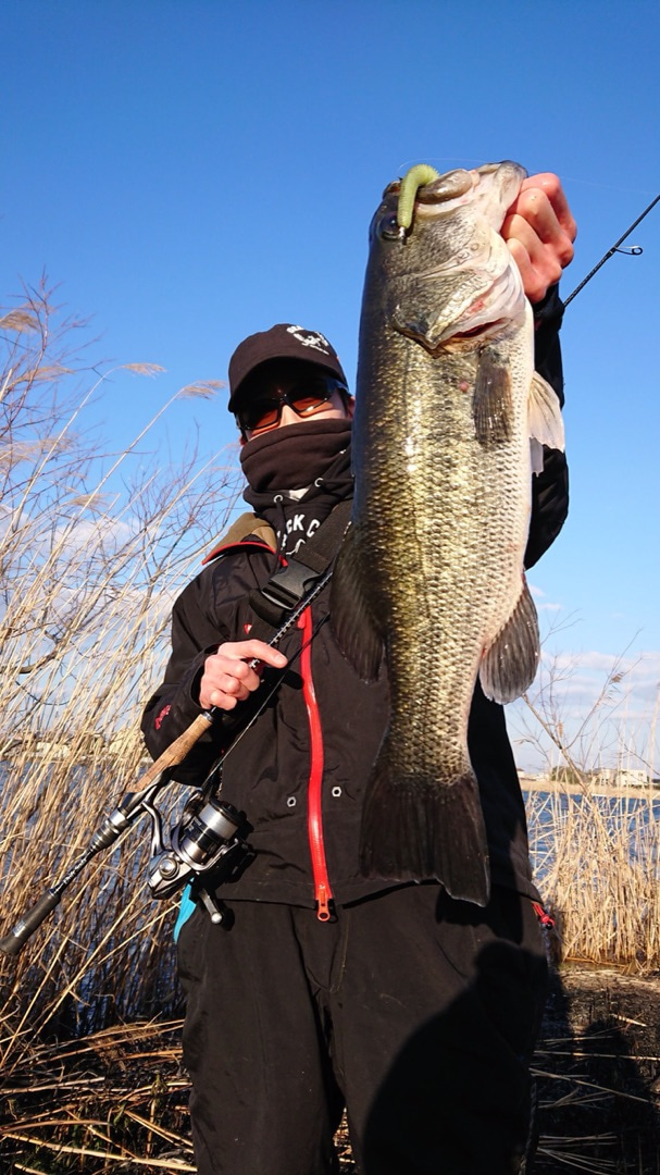 o0607108014378510017