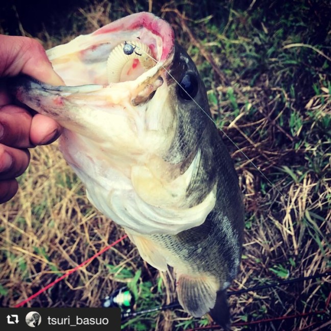 o0750075014372790609