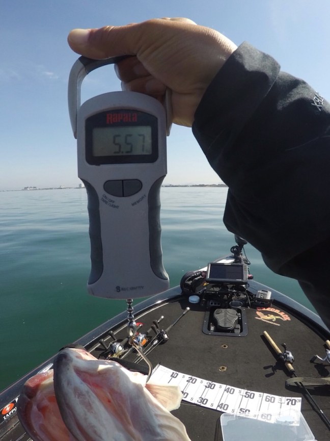 o0809108014375534967