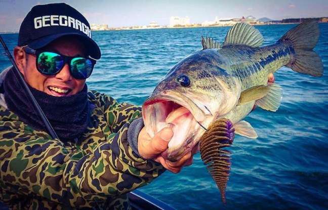 o1073068914378135453