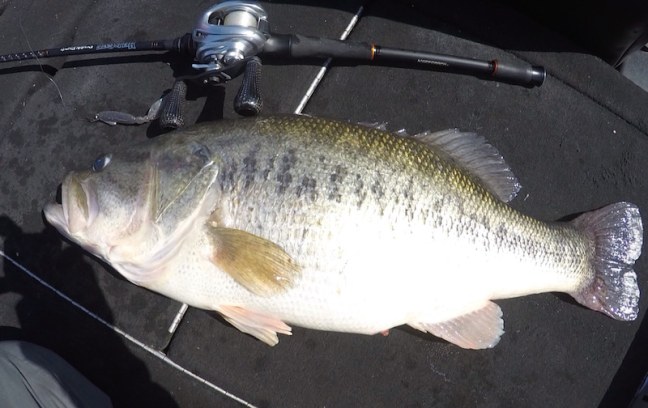 o1080068114375534989